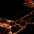 Creature of Lava