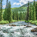 Little Susitna River - Alaska