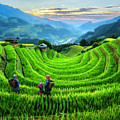 Sunset on Mu Cang Chai